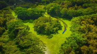 Miền Tây - tình đất, tình người