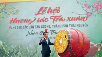 Tôn vinh cây chè qua Lễ hội "Hương sắc Trà Xuân"