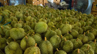 Những con số ấn tượng của ngành nông nghiệp Việt Nam năm 2023