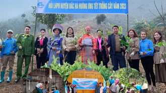 Bảo vệ môi trường bằng hành động thiết thực