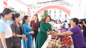 [Ảnh] Giao lưu kết nối, giới thiệu mô hình sinh kế tiêu biểu cho phụ nữ vùng dân tộc thiểu số và miền núi