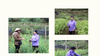 Chi hội trưởng làm kinh tế giỏi