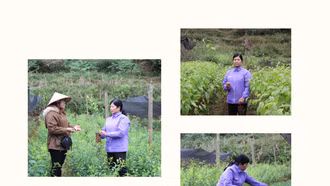 Chi hội trưởng làm kinh tế giỏi