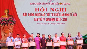 Những tấm gương cao tuổi làm kinh tế giỏi