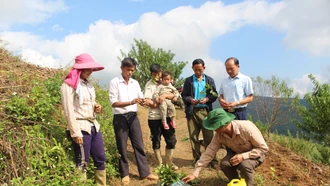 Chi bộ điển hình trong học và làm theo Bác ở A Mú Sung 