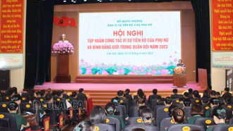 Bộ Quốc phòng tập huấn công tác vì sự tiến bộ của phụ nữ và bình đẳng giới trong quân đội