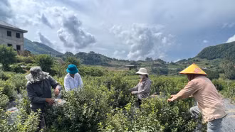 Du lịch tạo nên diện mạo mới cho nông thôn