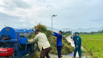 Quang Kim: Giúp gia đình quân nhân thu hoạch lúa xuân