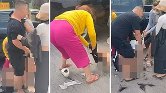 Nóng tình trạng đánh ghen, làm nhục người khác