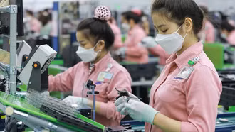 Đặc biệt quan tâm khen thưởng người lao động trực tiếp sản xuất