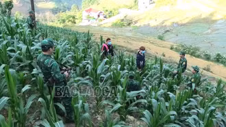 Đồn Biên phòng Si Ma Cai khởi tố 2 vụ án về hành vi đưa người nhập cảnh trái phép