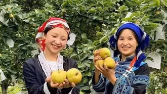 ''Đánh thức'' du lịch nông nghiệp ở vùng biên