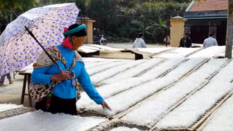 Kinh tế tập thể, HTX xóa nghèo cho đồng bào dân tộc thiểu số