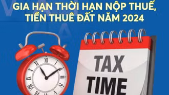 [Infographic] Đối tượng được gia hạn nộp thuế, tiền thuê đất năm 2024