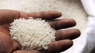 Việt Nam chủ trì Hội nghị toàn cầu về lương thực, thực phẩm bền vững lần thứ 4