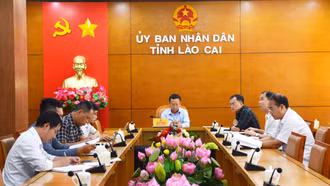 Đẩy mạnh triển khai thực hiện dự án 5 ''Hỗ trợ nhà ở cho hộ nghèo, hộ cận nghèo trên địa bàn các huyện nghèo''