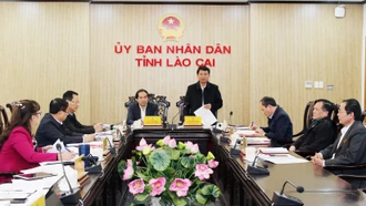 Thường trực Tỉnh ủy làm việc với Ban Cán sự Đảng UBND tỉnh 