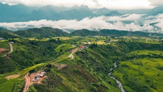 Cắm trại trên đồi chè Tân Uyên, ngắm lúa vàng và đỉnh Fansipan hùng vĩ