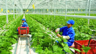 Thể chế hóa chủ trương của Đảng về nông nghiệp, nông dân, nông thôn trong Luật Đất đai 2024