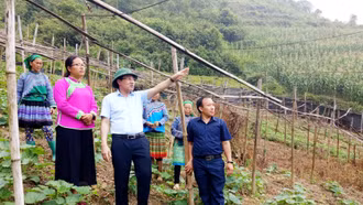 Lào Cai tăng cường thu hút, hỗ trợ phát triển nhân lực người dân tộc thiểu số