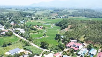 Tiêu chí huyện nông thôn mới đặc thù không có đơn vị hành chính cấp xã