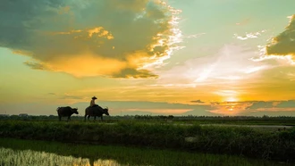 Khoảng trời quê ngoại