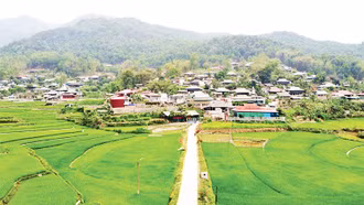 Ngát xanh Mường Báng