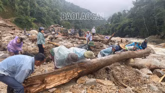 Tăng cường thực hiện công tác phòng tránh, ứng phó thiên tai và tìm kiếm cứu nạn trên địa bàn tỉnh