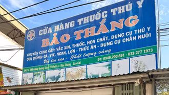 Bảo Thắng: Xử phạt chủ cửa hàng thuốc thú y vi phạm quy định về phòng cháy