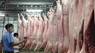 Tăng cường năng lực kiểm soát dịch bệnh động vật và bảo đảm an toàn thực phẩm động vật