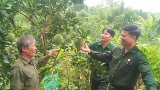 Những cựu chiến binh Bảo Thắng xung kích trên trận tuyến mới