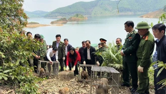 Mạng lưới phóng viên điều tra phòng, chống buôn bán động vật hoang dã