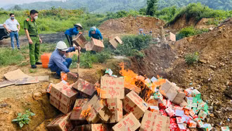 Tiêu hủy gần 38.000 gói cánh gia cầm không rõ nguồn gốc