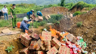 Tiêu hủy gần 38.000 gói cánh gia cầm không rõ nguồn gốc