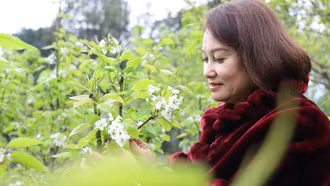 Đặc sắc chương trình trải nghiệm hoa lê tại xã Nậm Pung