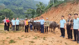Cùng chăm lo để người nghèo có cuộc sống tốt đẹp hơn