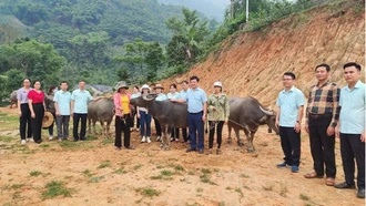 Cùng chăm lo để người nghèo có cuộc sống tốt đẹp hơn