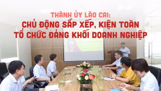 Thành ủy Lào Cai: Chủ động sắp xếp, kiện toàn tổ chức đảng khối doanh nghiệp