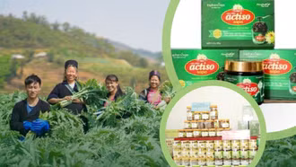 Bàn về xây dựng thương hiệu nông sản Lào Cai