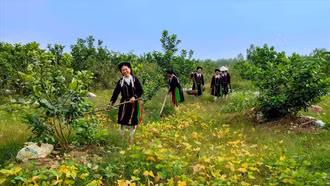 Tạo sinh kế bền vững cho đồng bào vùng khó khăn