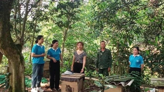 Phụ nữ với công tác giảm nghèo bền vững 