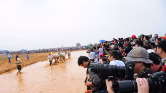 Pháp luật quy định như thế nào về chức năng, nhiệm vụ và quyền hạn của báo chí?