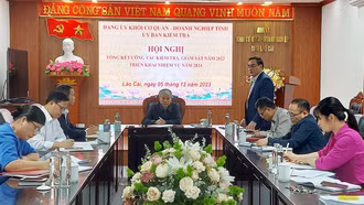 Công tác kiểm tra, giám sát góp phần xây dựng Đảng bộ Khối Cơ quan - Doanh nghiệp tỉnh trong sạch, vững mạnh