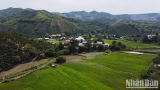 Triển khai hỗ trợ việc làm bền vững trong chương trình giảm nghèo còn chậm