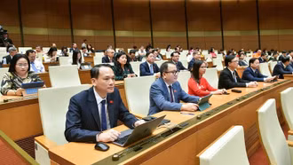 Quốc hội thống nhất quy định về ''dao có tính sát thương cao''