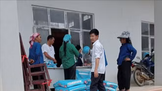 Hỗ trợ 3 tấn ngô giống giúp bà con khắc phục hậu quả thiên tai