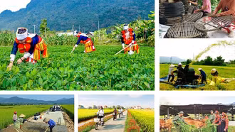 Triển khai Nghị quyết của Quốc hội về cơ chế đặc thù thực hiện các chương trình mục tiêu quốc gia