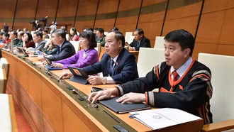 Việt Nam sẽ áp thuế tối thiểu toàn cầu từ 1/1/2024