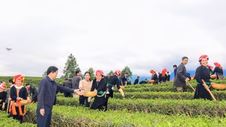 Điều tra dư luận xã hội về 'Tình hình tư tưởng và đời sống của người dân ở các xã hoàn thành xây dựng nông thôn mới'