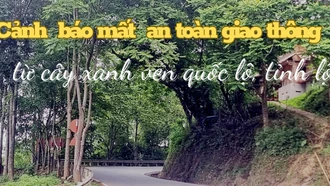 Cảnh báo mất an toàn giao thông từ cây xanh ven quốc lộ, tỉnh lộ